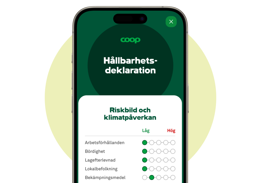 Hållbarhetsdeklarationen visas i mobilen.