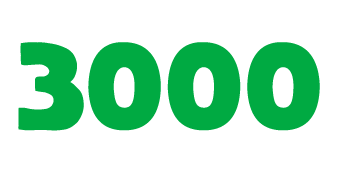 3000