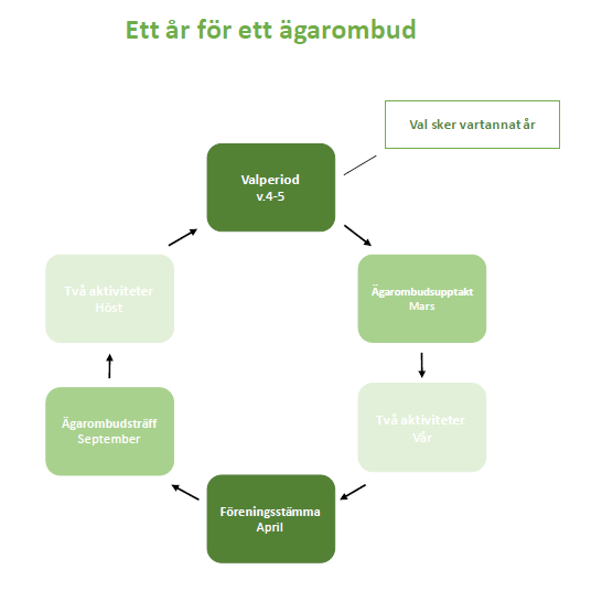 Ett år för ett ägarombud