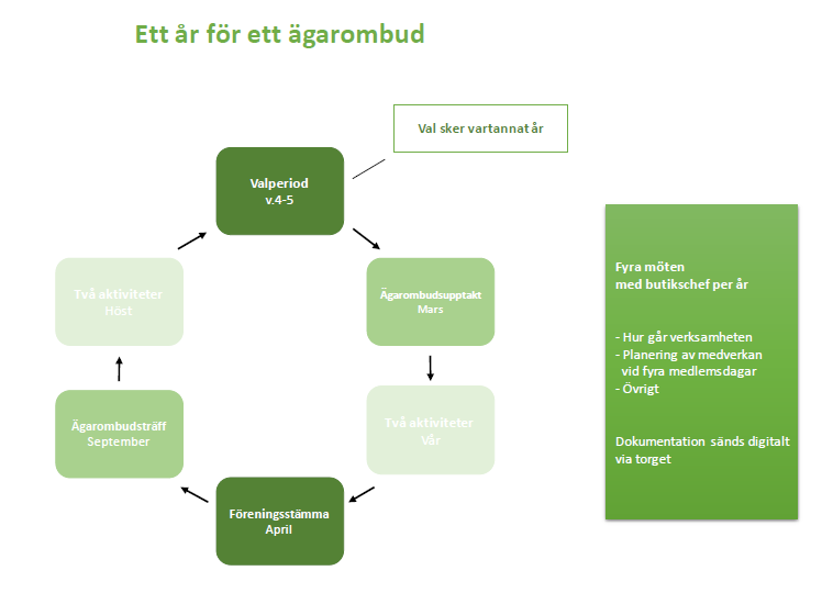 Ett år för ett ägarombud